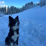 Hinterlehen Apartman Eben im Pongau