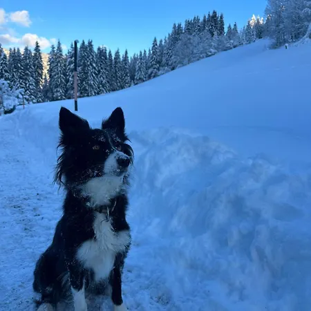 Hinterlehen Apartament Eben Im Pongau