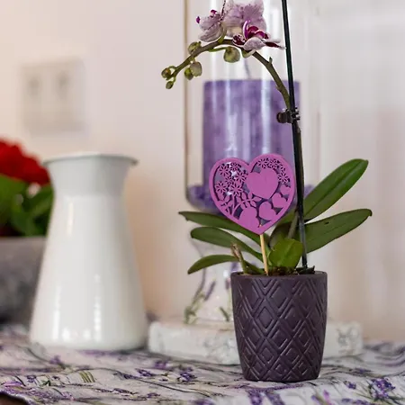 Hinterlehen Apartament