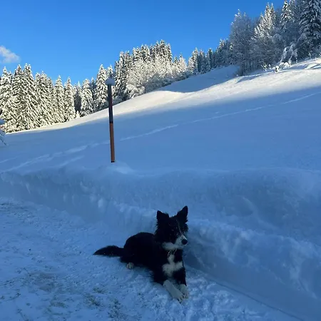 Hinterlehen アパート