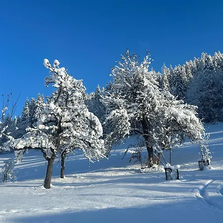 Hinterlehen Appartement
