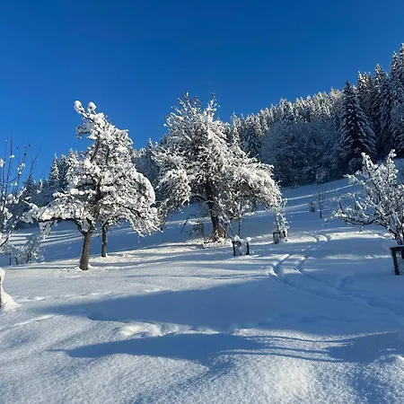 Hinterlehen Appartement Eben Im Pongau