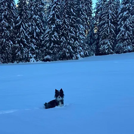 Hinterlehen *