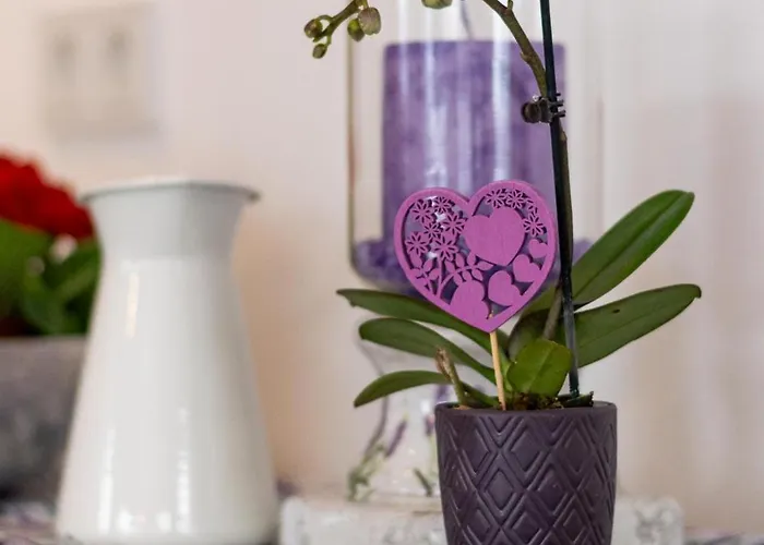 Hinterlehen Appartement