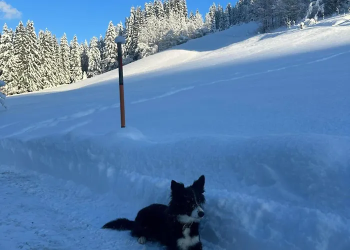 Hinterlehen Appartement